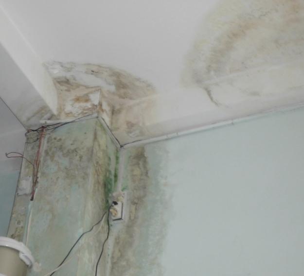 Nhà phố bị thấm dột